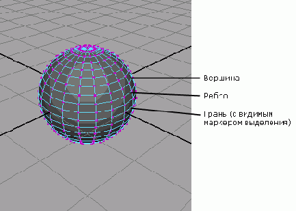 NURBS-,       