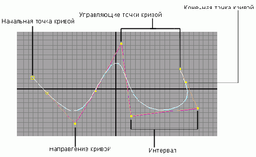 NURBS-,       